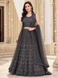 Charcoal Grey Embroidered Net Lehenga Choli Set with Dupatta